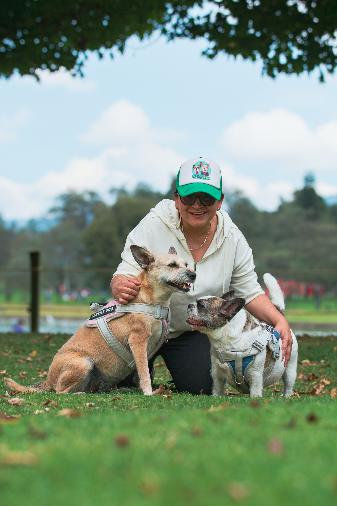 Imagen representativa